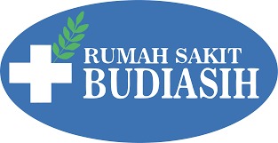 RS Budi Asih